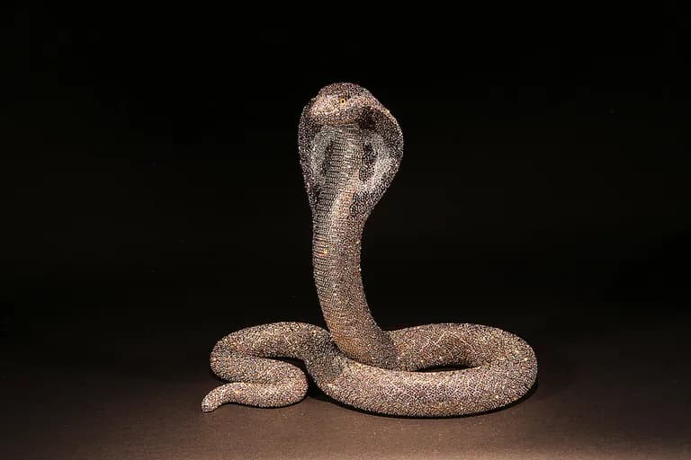 A crystal encrusted cobra by Clarita Brinkerhoff
