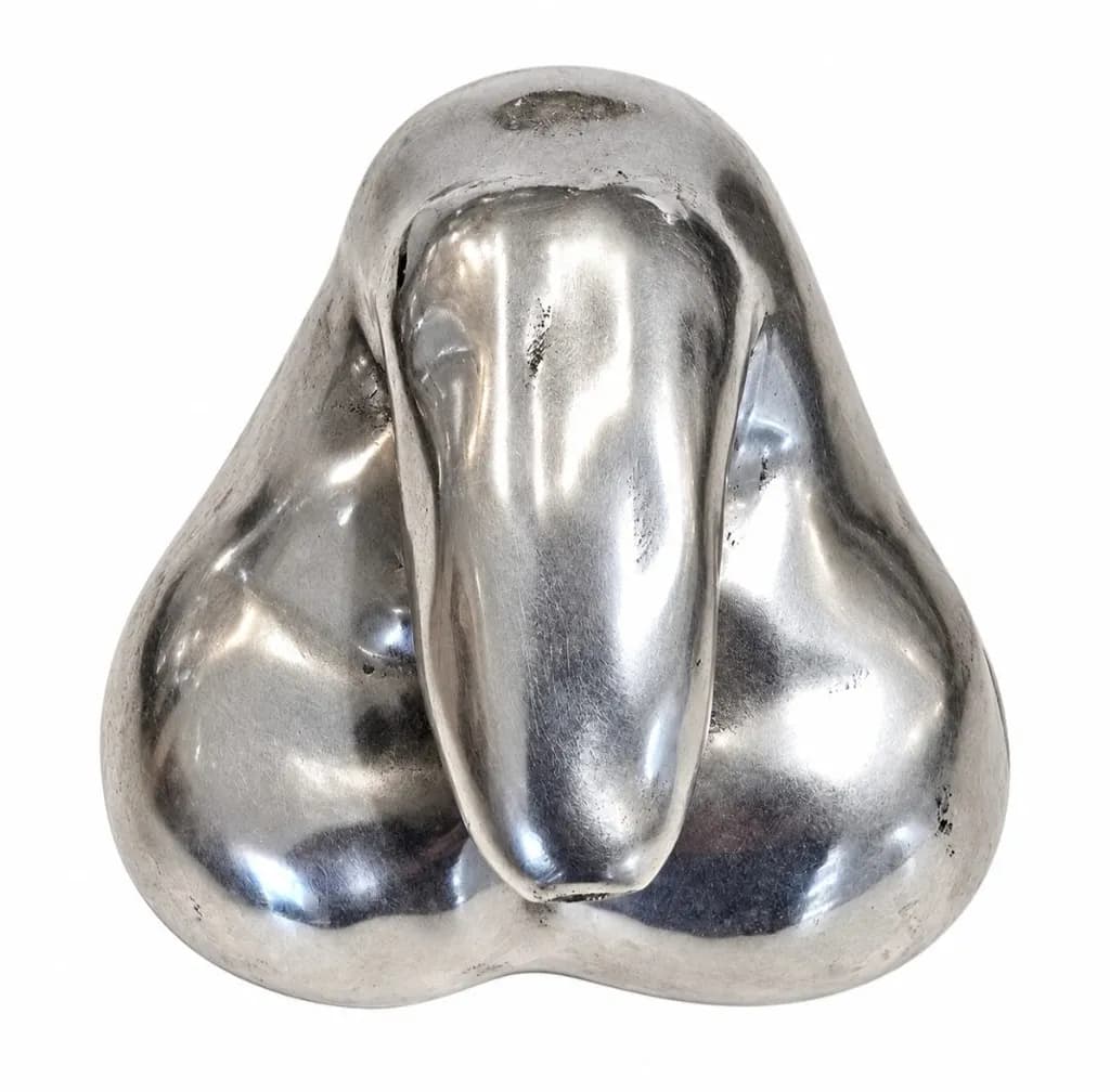 Ernesto Pujol, Uncircumcised Pennis