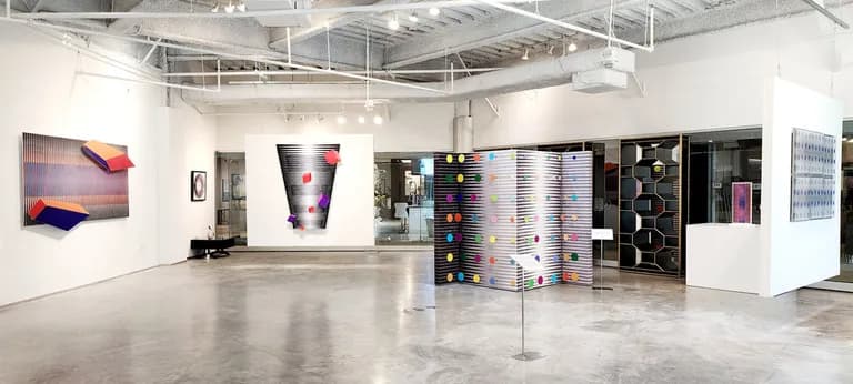 Hugo Diaz: Art in Motion