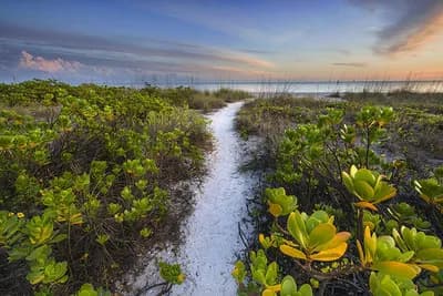 Pathway To Tranquility by David Liam Kyle. Image Size 30x45 Archival Photographic Paper