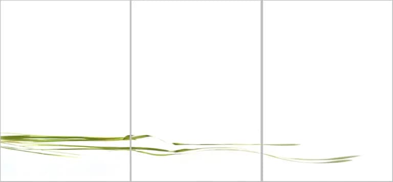 Holger Obenaus, Urban Green III, 2018, photograph, triptych, dye sublimation on aluminium