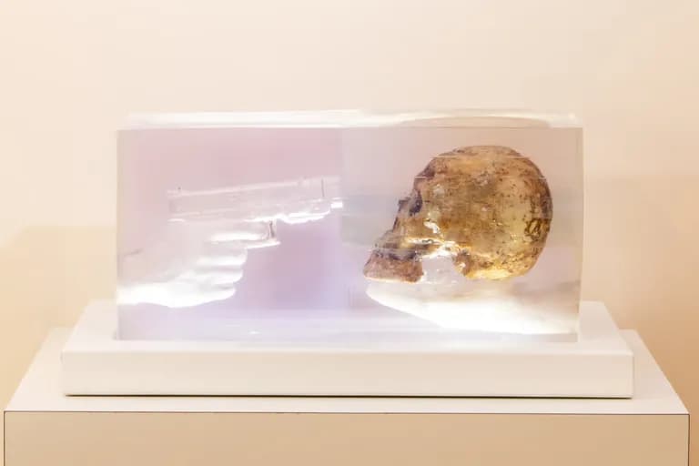 Emiliano Gironella Parra, Sacrifice, acrylic and light, a skull in a vitrine