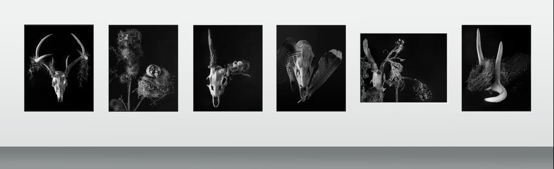 Aldo Castillo Gallery | Abstract Photography Negative Spaces by Holger Obenaus