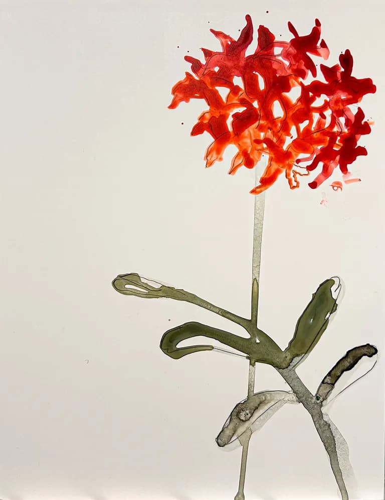 Lorna Marsh Bloom Rose I