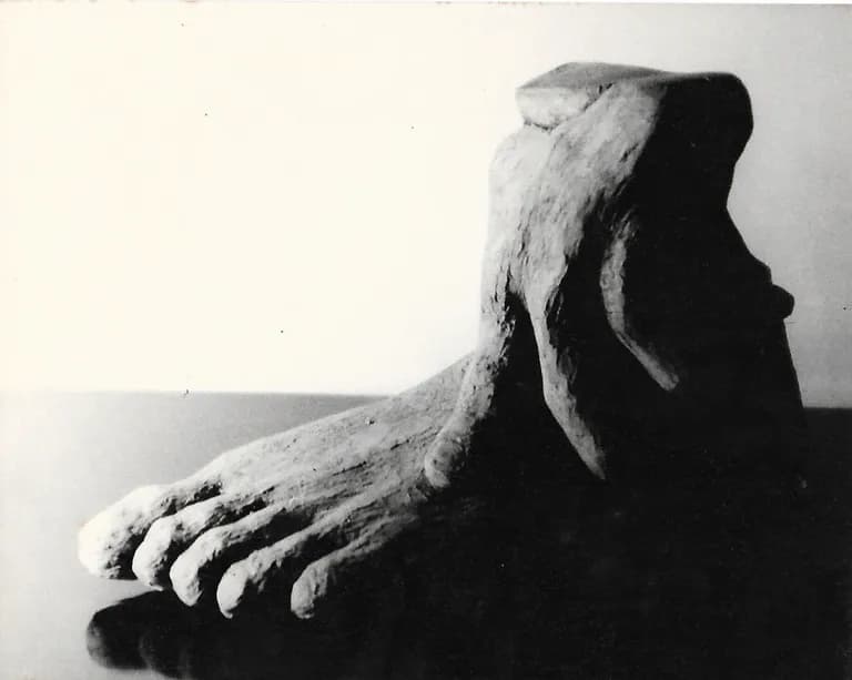 Aldo Castillo is recognized as a leading authority of Modern & Contemporary Art.