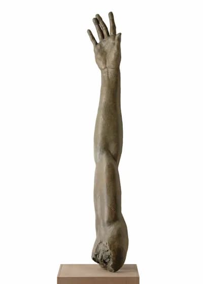 James Mathison, Brazo Grande, 2005, bronze, edition 2 of 8