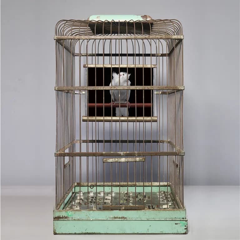 Troy Abbott, Aqua, 2019, 17d, 16.3/4 w, 28.5h In