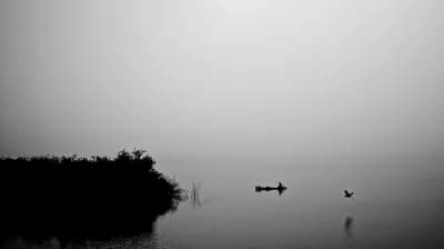 Grey Mist by John Thawley. 48x28" framed