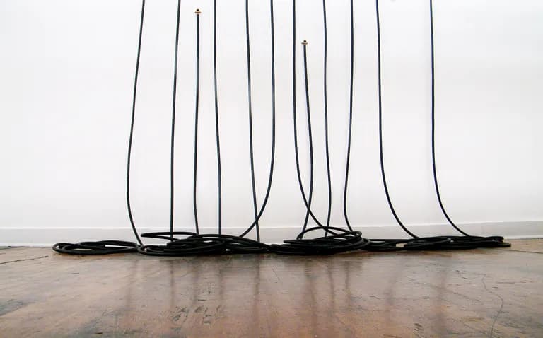 Patricia Schnall Gutierrez, an installation of hanging forms in mixed media
