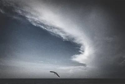 Chasing Clouds by Harry De Zitter. Printed on 250gsm Breathing Color “Optica One” acid free paper. Paper Size 24x30 inches with 35.5 x 29.5 inch 8 ply archival mat + black frame + non- reflective plexi. 3/10 limited edition