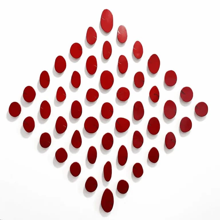 Carolina Sardi Red Installation