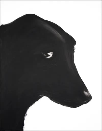 Black Dog, 2009, Charcoal on Paper, 48 x 38 In