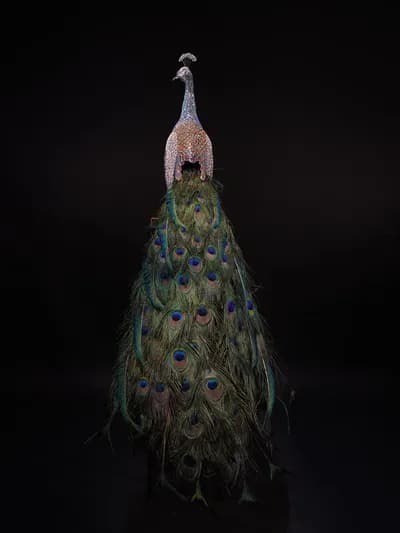 Clarita Brinkerhoff, Peacock, Homage to Hera, India Blue, 25,854 Swarovski Stellux Crystals, Natural Feathers, 48H and total pedestal 67, Cast, Polished, Plated