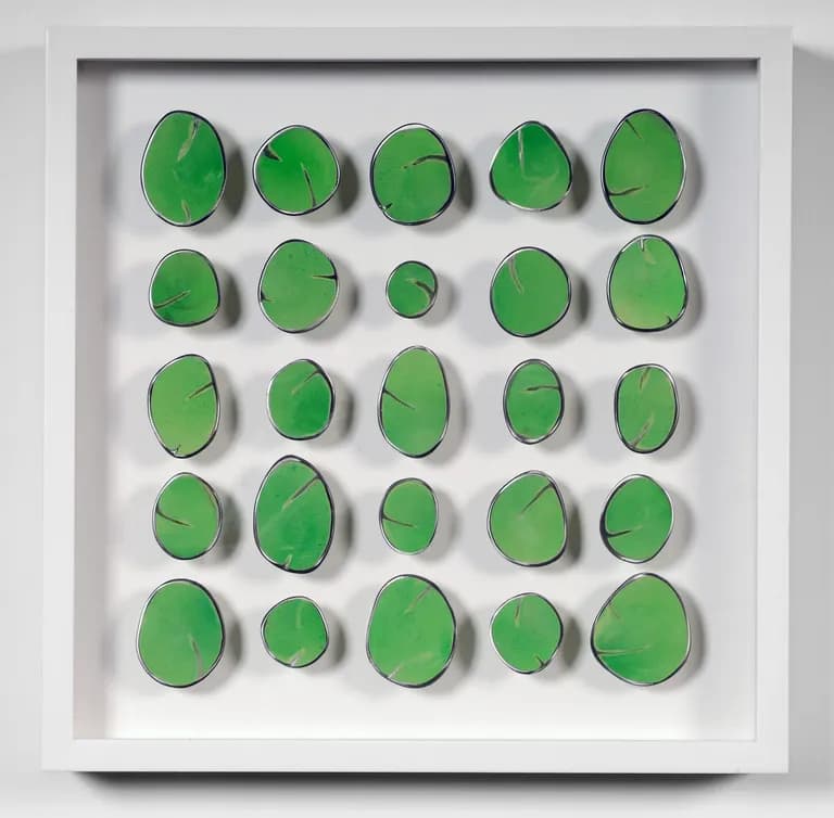 Carolina Sardi Bright Green in a Box
