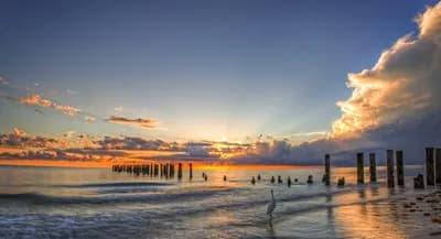 Third Avenue Egret Sunset by Tim Bath. 49x29" framed