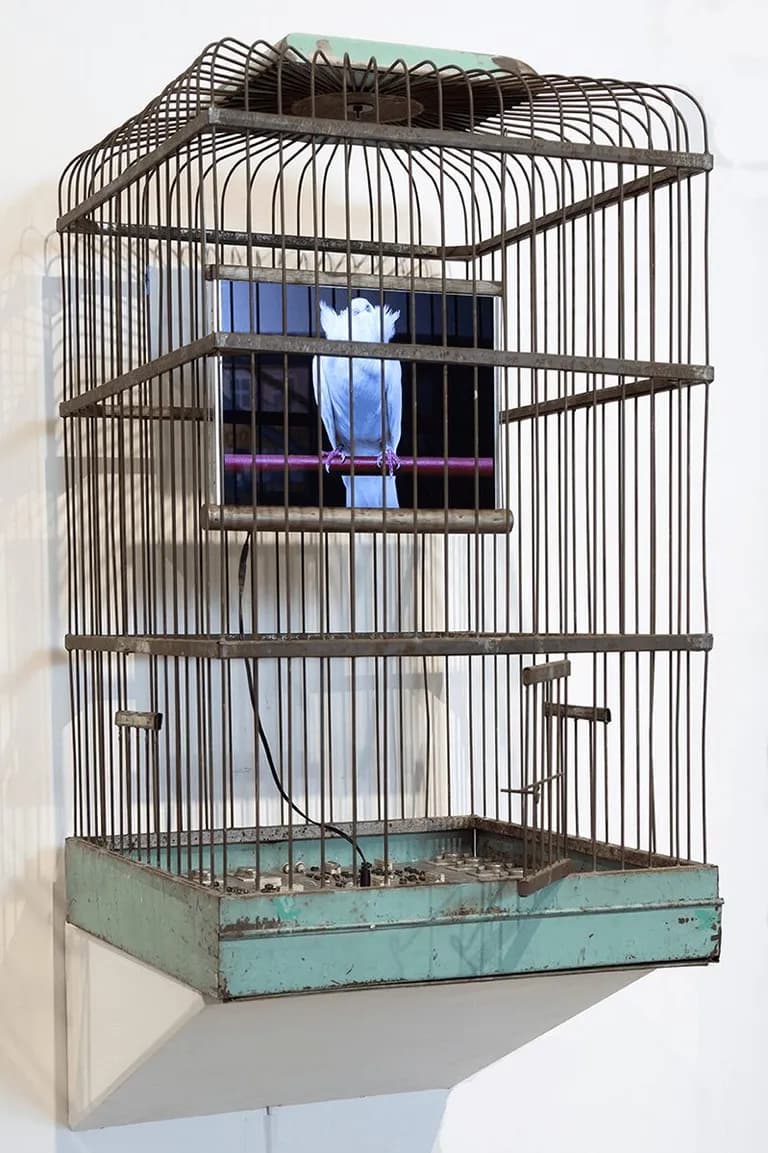 Troy Abbott Aqua