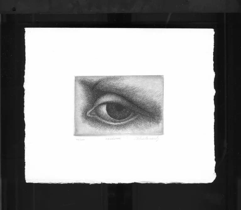Rodolfo Abularach, Penelope, work on paper