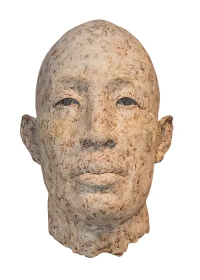 James Mathison, Asian Head, mixed media on fibreglass